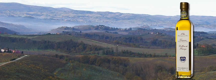 villa humbourg colline firenze