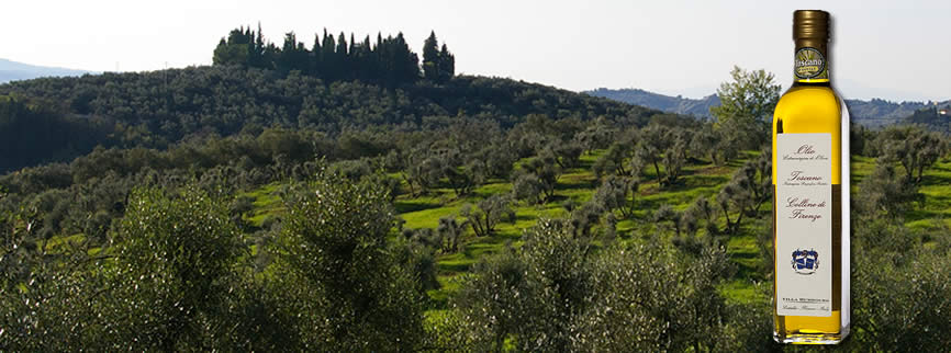olio di oliva toscano villa humbourg