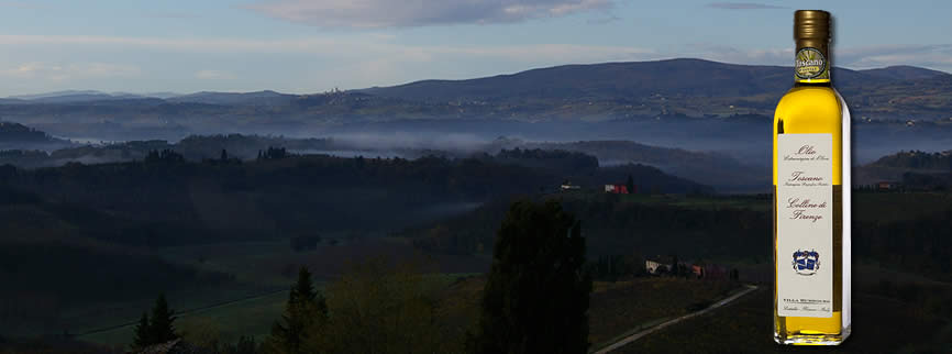 villa humbourg olio di oliva toscano